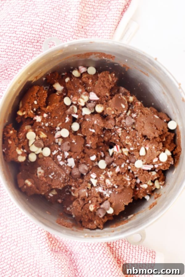 Festive Chocolate Peppermint Crunch Cookies 4 Soft and chewy chocolate peppermint cookie dough for chocolate candy cane cookies, ready to be baked into holiday treats.