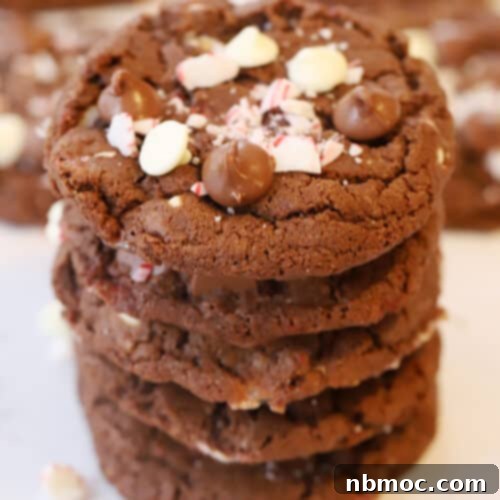 Festive Chocolate Peppermint Crunch Cookies 6 How to make Christmas cookies, best chocolate chip candy cane cookie recipe.