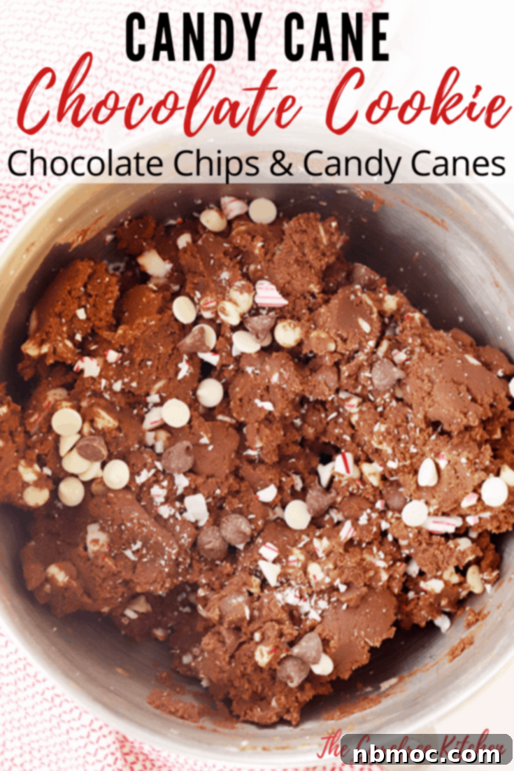 Festive Chocolate Peppermint Crunch Cookies 7 Delicious Chocolate Candy Cane Cookies, a simple homemade chocolate cookie recipe, perfect for sharing during the holidays.