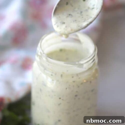 Creamy Fiesta Ranch 5 This Salsa Ranch Dressing Recipe is perfect for salads, quesadillas, or as a dip for chicken fingers. Included is also an easy ranch dressing recipe. This will soon become your go-to, how to make home-made ranch dressing, recipe.