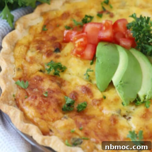 Garden Harvest Quiche 5 vegetable quiche recipe in a pie plate.