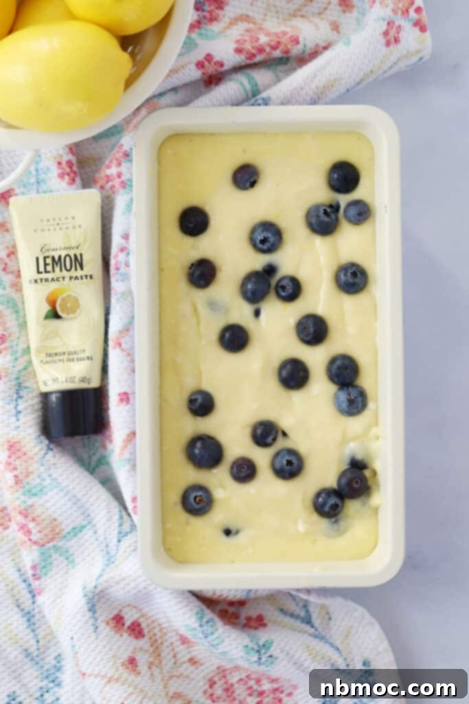 Bright Blueberry Lemon Loaf 5 Freshly prepared blueberry and lemon bread batter poured into a loaf pan, ready for baking in the oven.