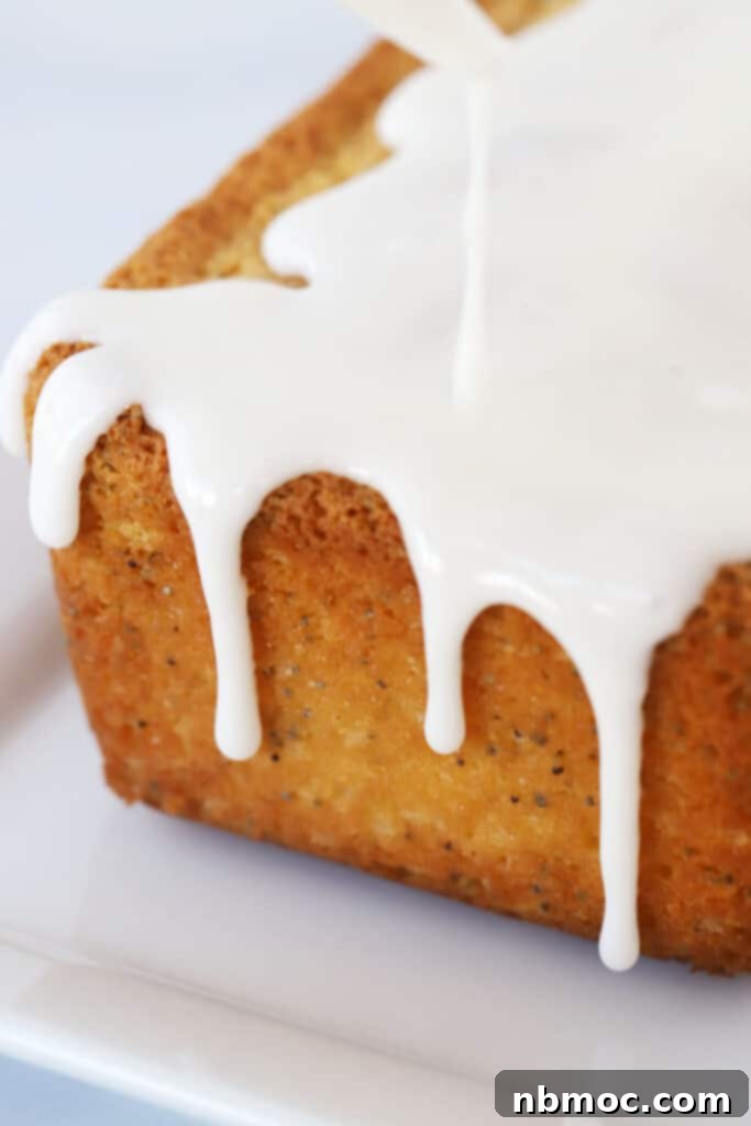 Bright Blueberry Lemon Loaf 6 A perfectly baked blueberry loaf bread, garnished with extra fresh blueberries and a generous drizzle of lemon glaze on top.