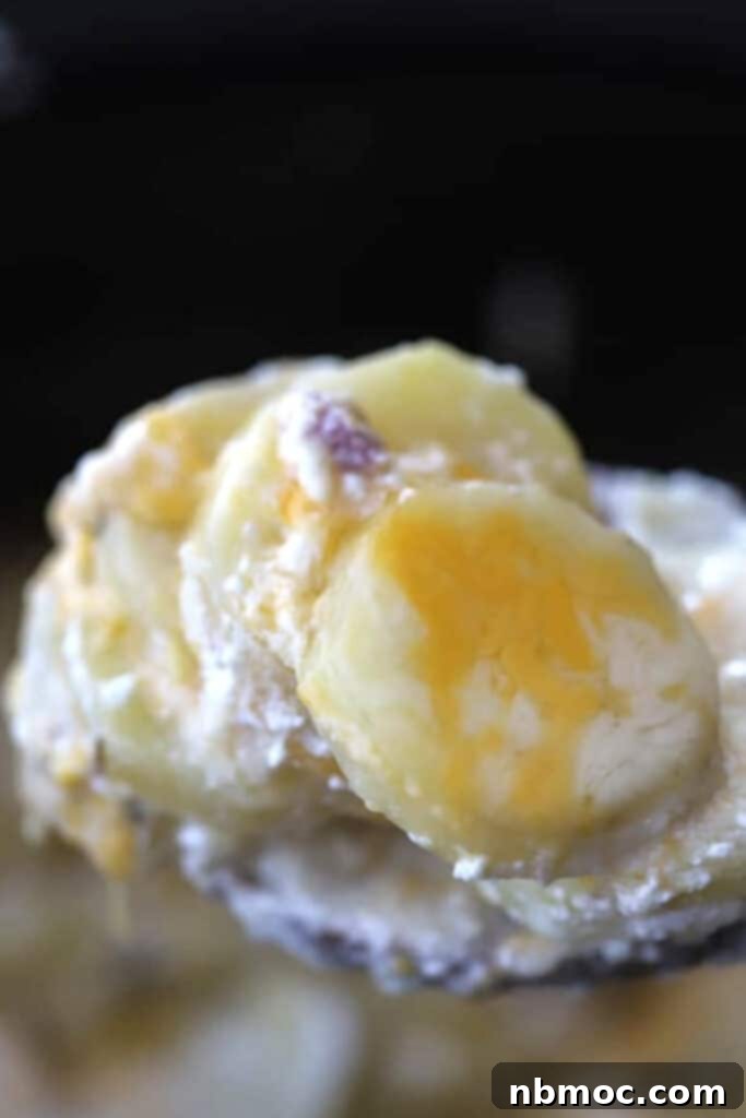 Hearty Slow Cooker Ham and Cheese Scalloped Potatoes 2 A spoon holding slow cooker scalloped potatoes and ham, an easy potato side dish.