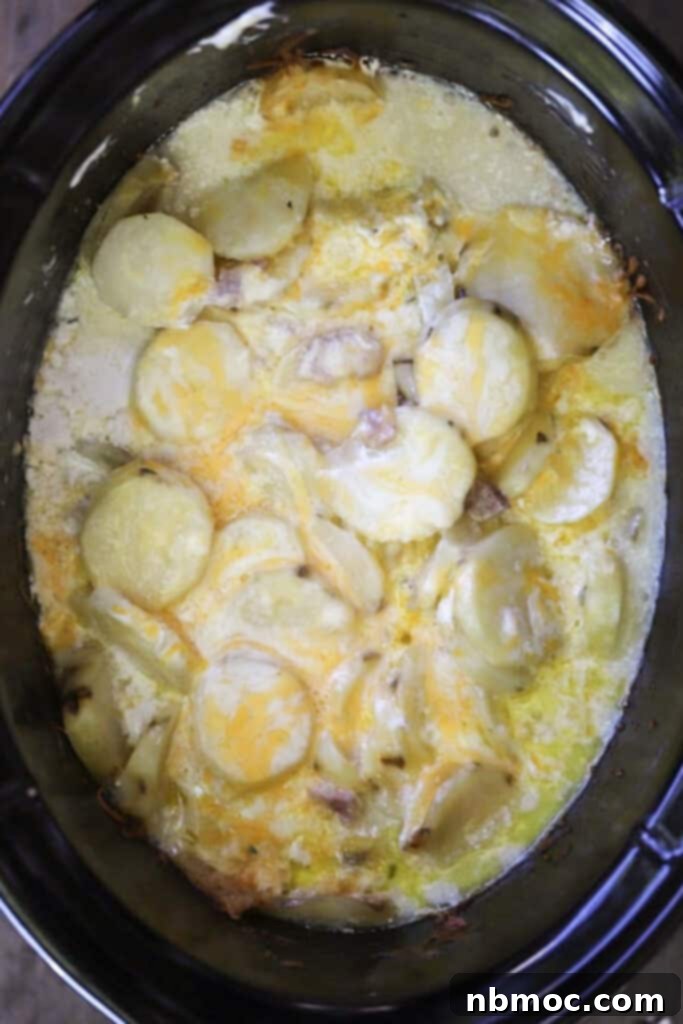 Hearty Slow Cooker Ham and Cheese Scalloped Potatoes 5 Ham and potatoes in crockpot, an easy way to make ham and cheese scalloped potatoes.