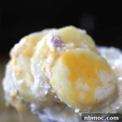 Hearty Slow Cooker Ham and Cheese Scalloped Potatoes 6 ham and cheese scalloped potatoes made in a crockpot