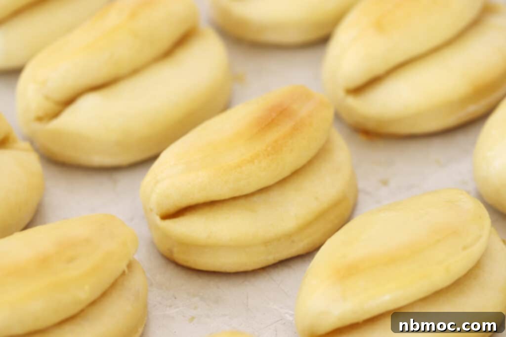 Buttery Soft Parker House Rolls 3 Parker House rolls on a baking sheet, easy homemade rolls, best dinner rolls recipe.