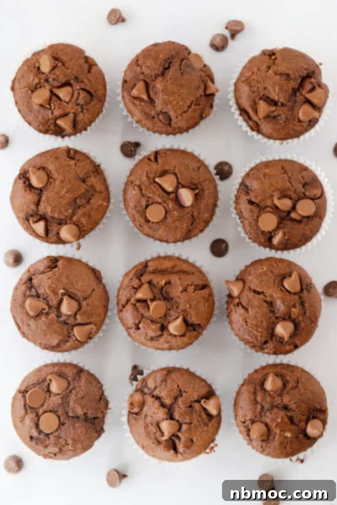 Decadent Double Chocolate Muffins 2 Double chocolate chip muffins lined up on a tabletop, showcasing their rich color and chocolatey tops.