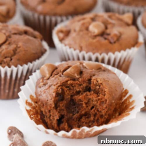 Decadent Double Chocolate Muffins 5 chocolate chip chocolate muffins