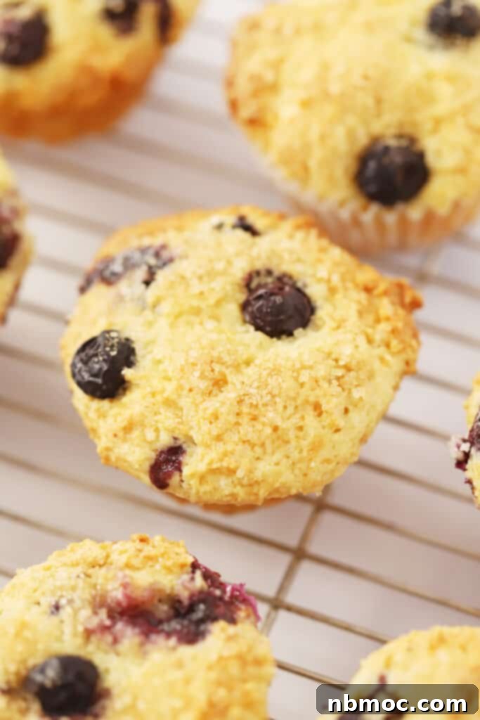 Sunshine Berry Muffins 2 Freshly baked lemon blueberry muffins cooling on a wire rack, ready for a delicious breakfast or snack