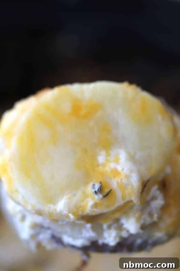 Easy crockpot scalloped potatoes recipe made with Russet potatoes and sour cream.