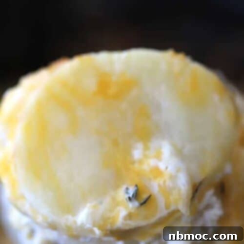 scalloped potatoes on fork