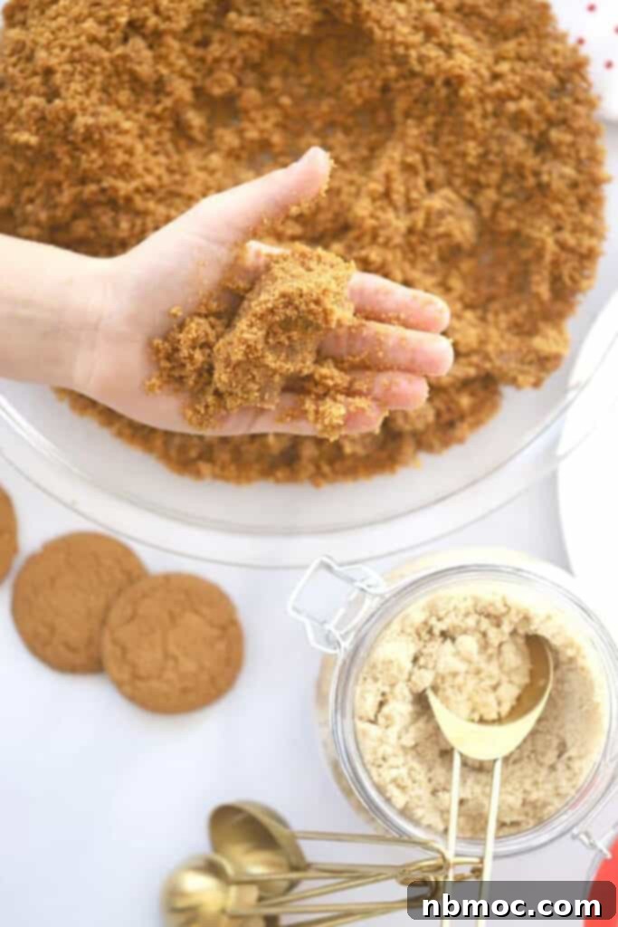 no bake gingersnap crust, gingerbread pie crust, ginger cookie pie crust, ginger pic crust, gingerbread cookie crust. 