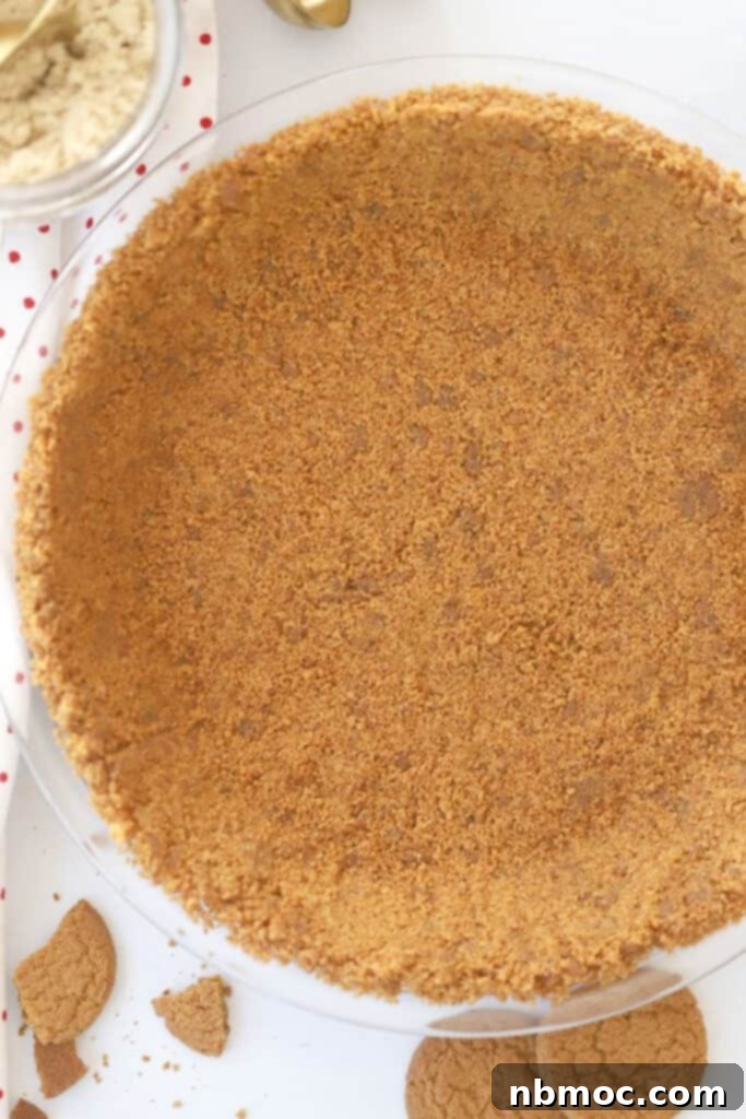 Gingersnap crust, ready for pumpkin cheesecake with gingersnap crust, gingersnap crust recipe, gingersnap cookie pie crust. 