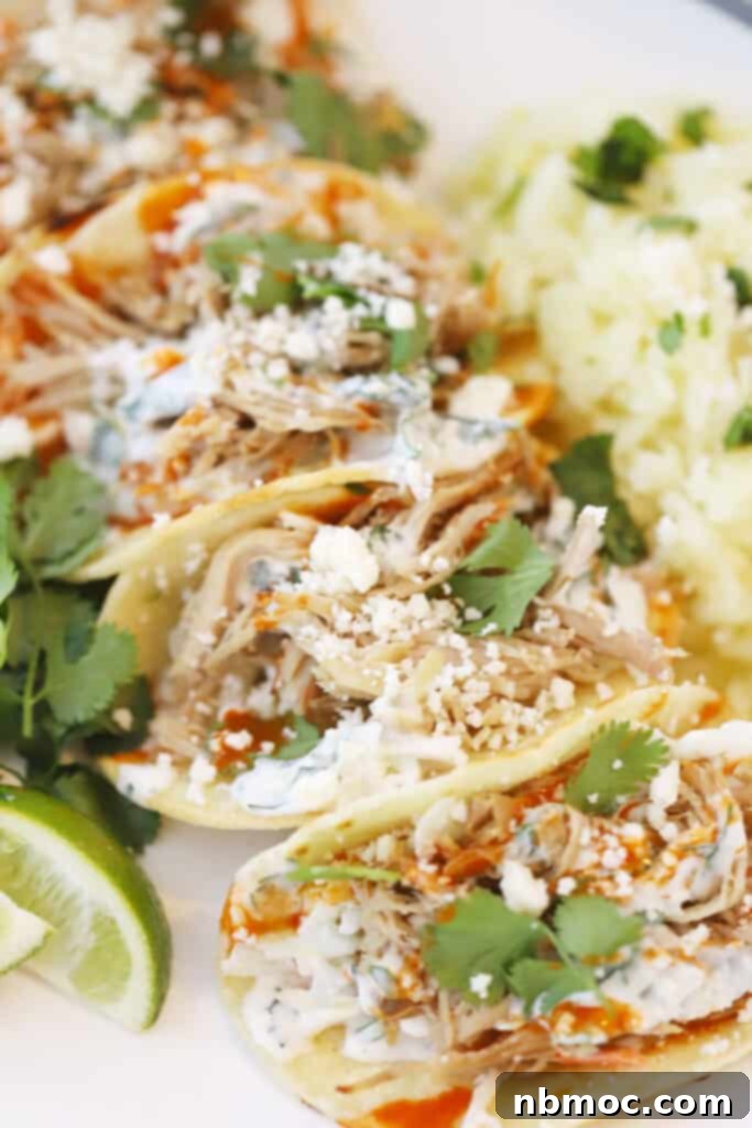 Crispy Slow Cooker Carnitas Tacos 2 A row of pork carnitas tacos filled with cheese, slaw, and fresh cilantro, perfectly arranged for serving.