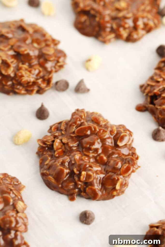 Chocolate peanut butter no bake cookies arranged on a counter top, highlighting their rich texture and appeal.