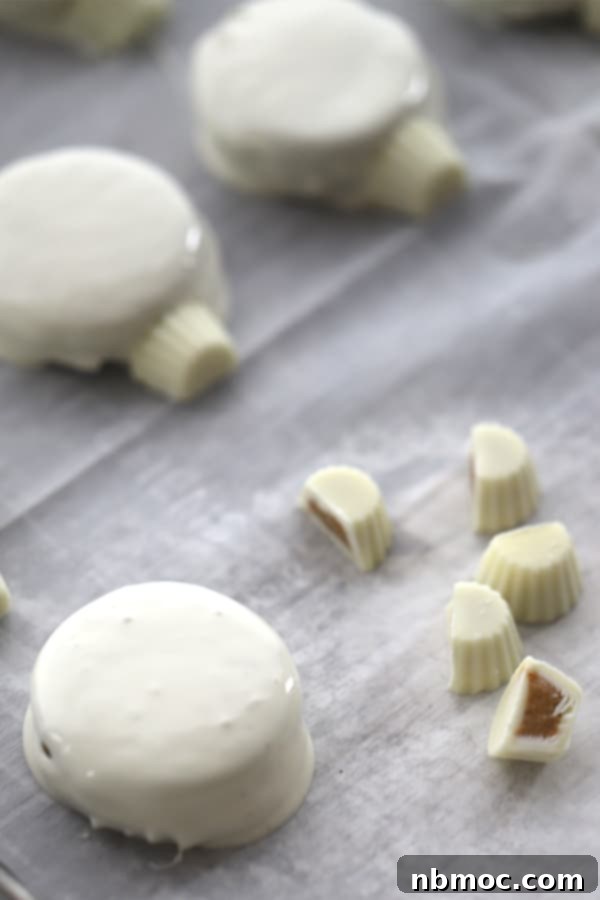 Freshly dipped Oreos in white chocolate, ready for holiday decorations. Showing a smooth white chocolate coating on each cookie.