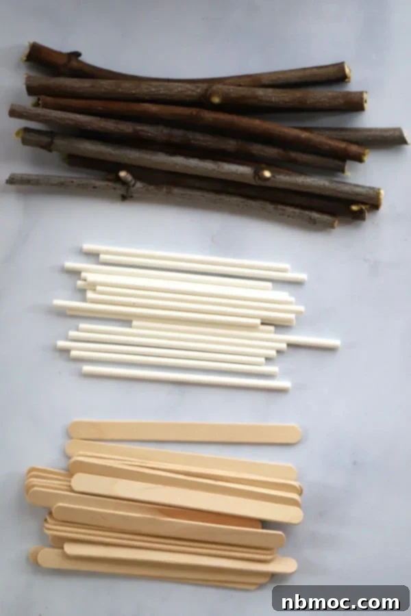 A variety of sticks suitable for making homemade caramel apples.