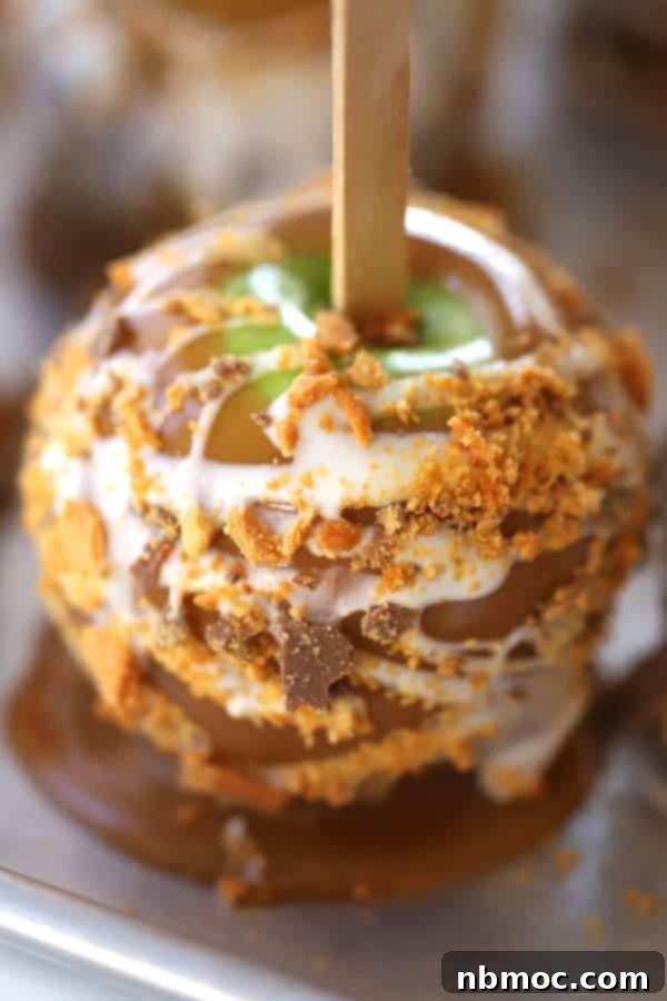 Gourmet caramel apples with chocolate drizzle and crushed candy.