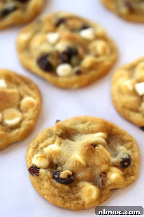 Zesty Cranberry Orange Delights 3 cranberry orange cookie recipe