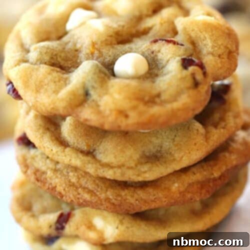 Zesty Cranberry Orange Delights 5 cranberry orange cookies