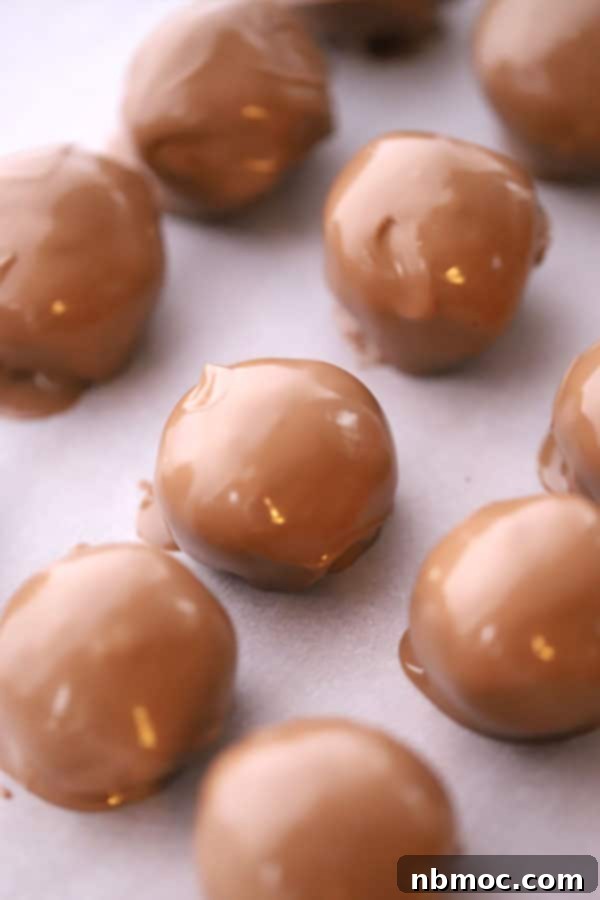 Close-up of a baking sheet featuring freshly dipped buckeye balls covered with a glossy layer of milk chocolate.