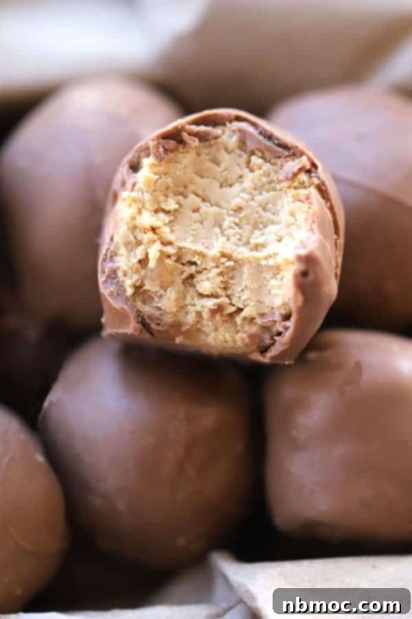 A festive Christmas gift box overflowing with beautifully arranged buckeye balls or peanut butter balls, ready for gifting.