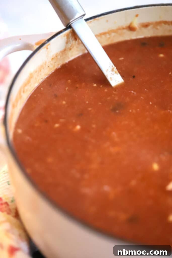 Turkey Enchilada Soup in a large dutch oven with a ladle, ready to be served.