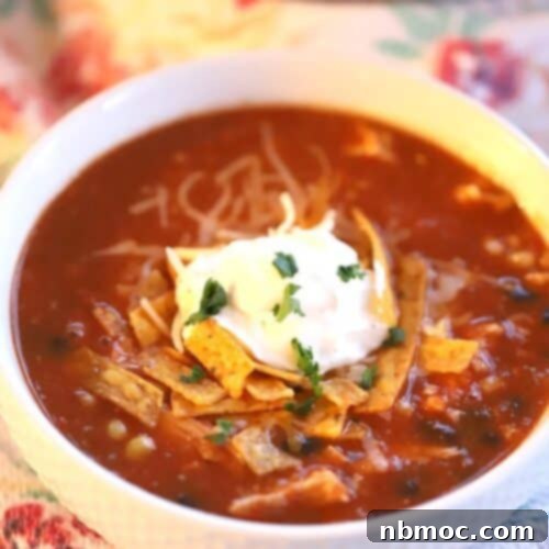 This Turkey Enchilada Soup is one of the best leftover turkey recipes!! It's quick and easy, it can be made in 30 minutes or less.