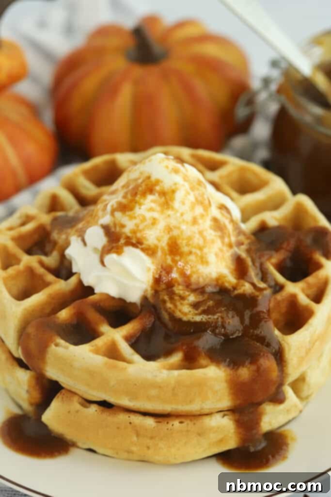 Waffles on a plate topped with pumpkin spice syrup and whipped cream.
