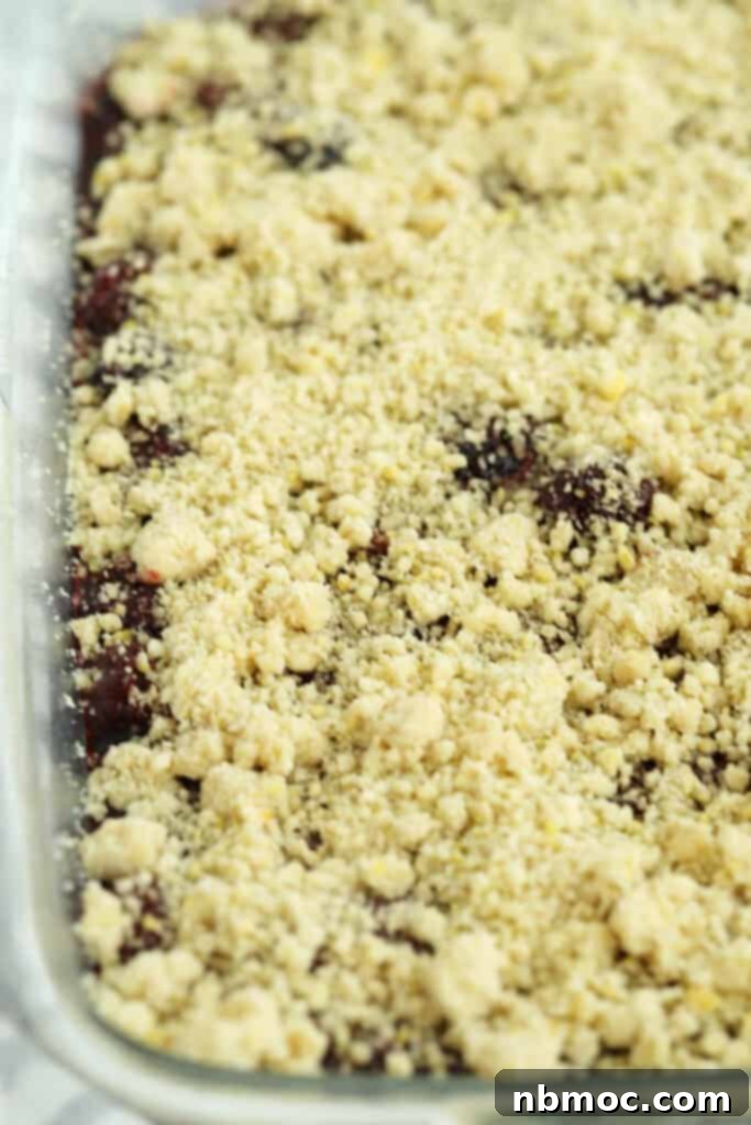 Blackberry crumble bars still in the baking sheet, uncut, showcasing the berry and crumble layers.