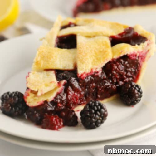how to make blackberry pie recipe.