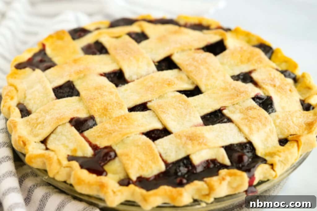 A full blackberry pie with a beautiful lattice top crust, fresh from the oven.