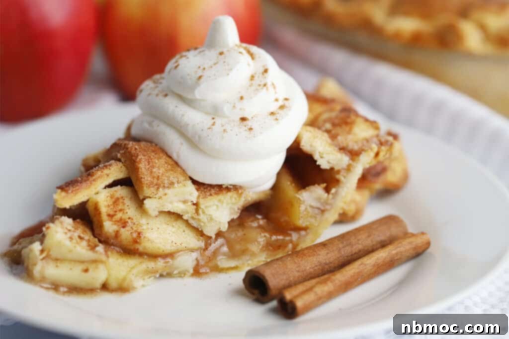 A slice of pie topped with whipped cream and garnished with cinnamon sticks on a white plate.