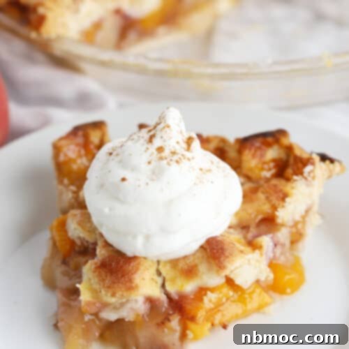 Sun-Kissed Peach Pie 5 Easy Peach Pie ready to be served