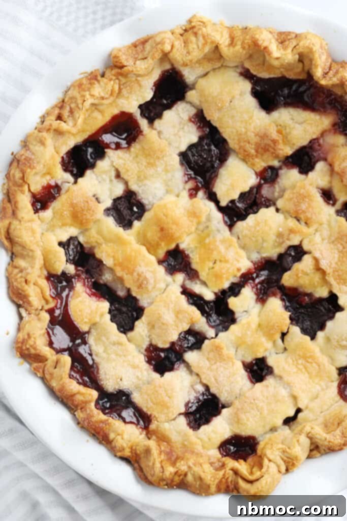 Crimson Delight 3 A photo from above of a freshly baked cherry pie, featuring a beautifully crafted lattice crust top, golden brown and bubbling with delicious cherry filling. Perfect for a frozen cherry pie recipe as well.