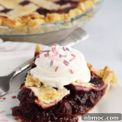 Crimson Delight 6 Homemade cherry pie, golden brown crust, rich cherry filling, recipe for best cherry pie.