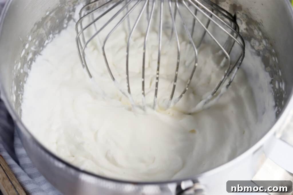A mixing bowl full of fresh whipped cream, ready for garnishing.