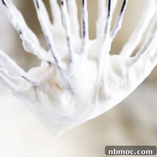 homemade whipped cream, how to make whipped cream