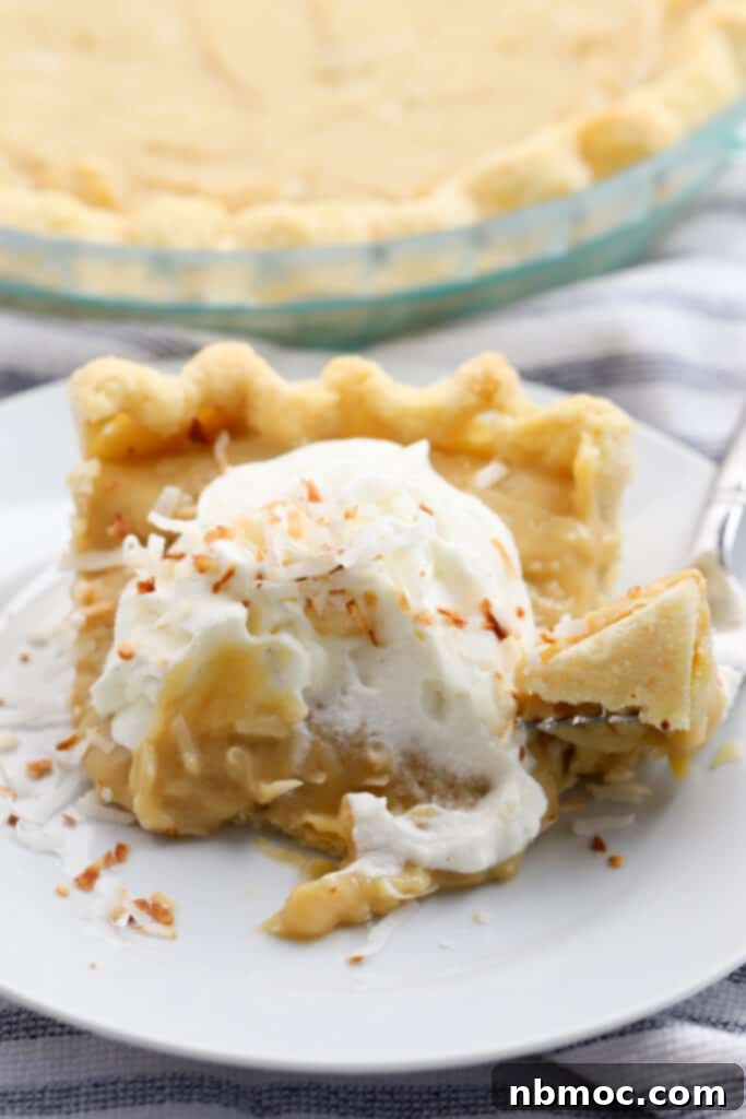 A delectable slice of Coconut Butterscotch Cream Pie, adorned with a swirl of whipped cream, resting on a pie plate. The golden filling with coconut flakes is visible.