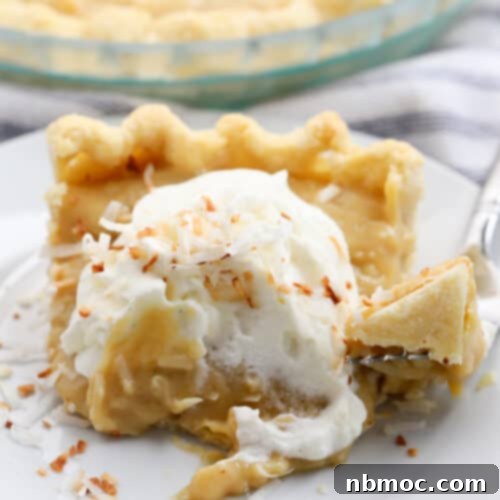 A slice of coconut pie topped with whipped cream on a pie plate. butterscotch pie recipes.