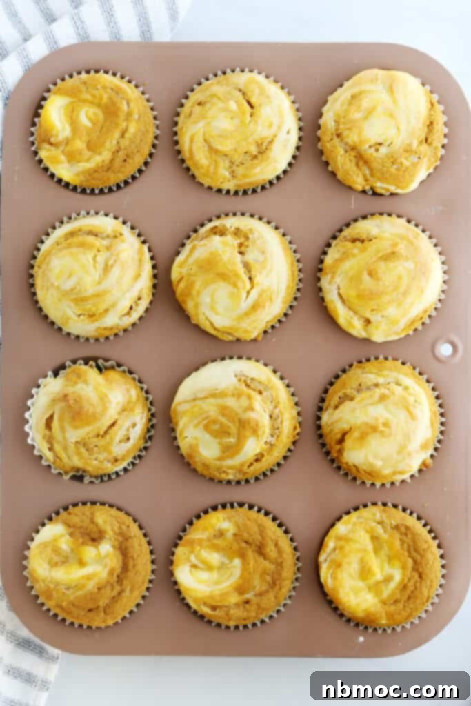Freshly baked pumpkin cheesecake muffins cooling in a muffin pan, with golden tops and visible swirls.