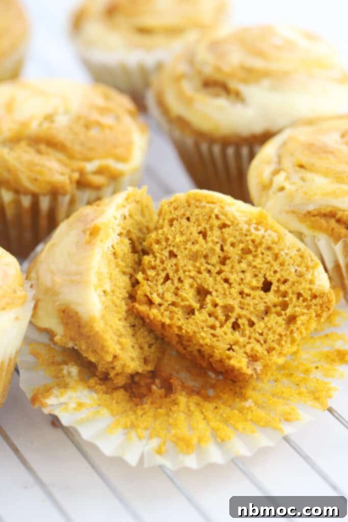 Warm pumpkin muffins cooling on a wire rack, with one muffin cut in half to show the moist interior and cheesecake swirl.