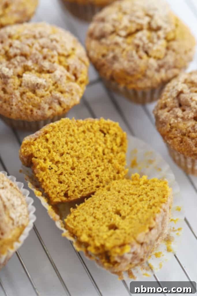 Baked pumpkin cake mix muffins cooling on a wire rack, showcasing a golden-brown streusel topping.