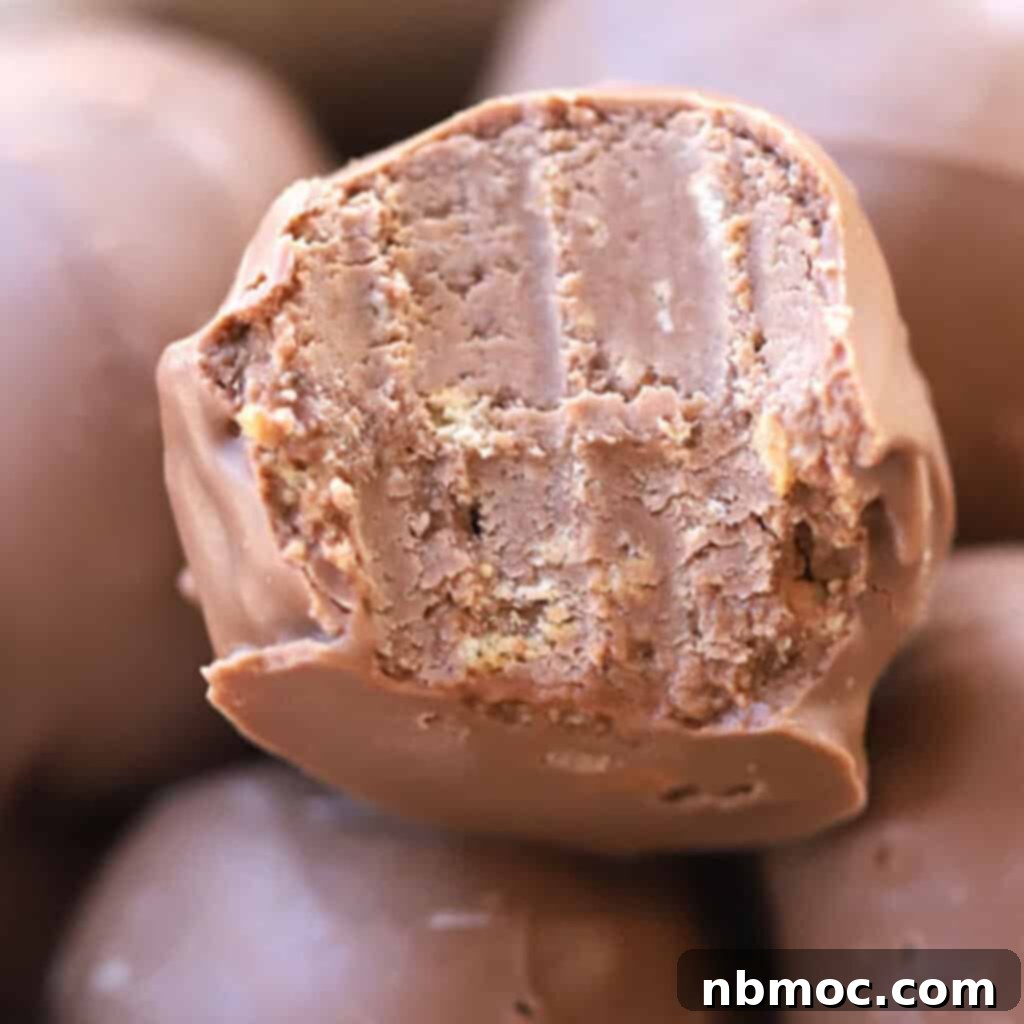 A festive arrangement of No-Bake Nutella Balls, perfect for holiday gifts and treats.