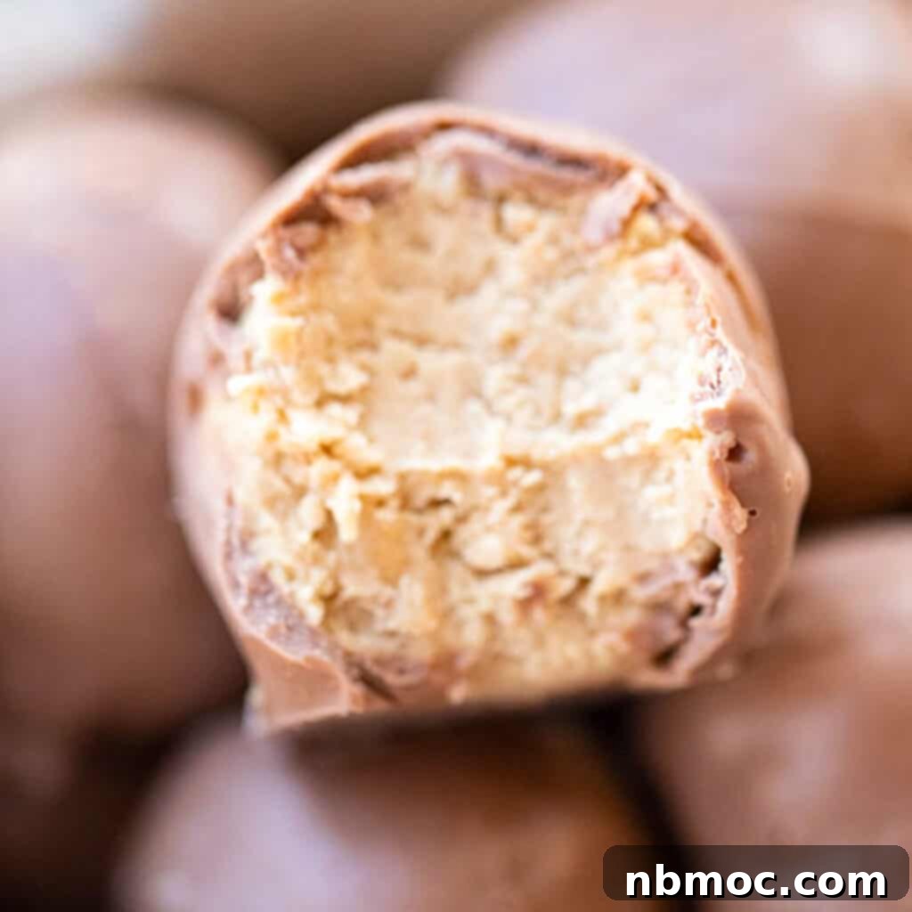 Delicious Buckeye Balls or Peanut Butter Balls elegantly arranged in a festive Christmas gift box.