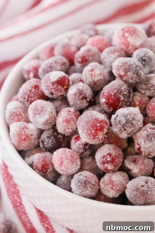 Edible sugared cranberries, perfect for festive garnishes on desserts and drinks.