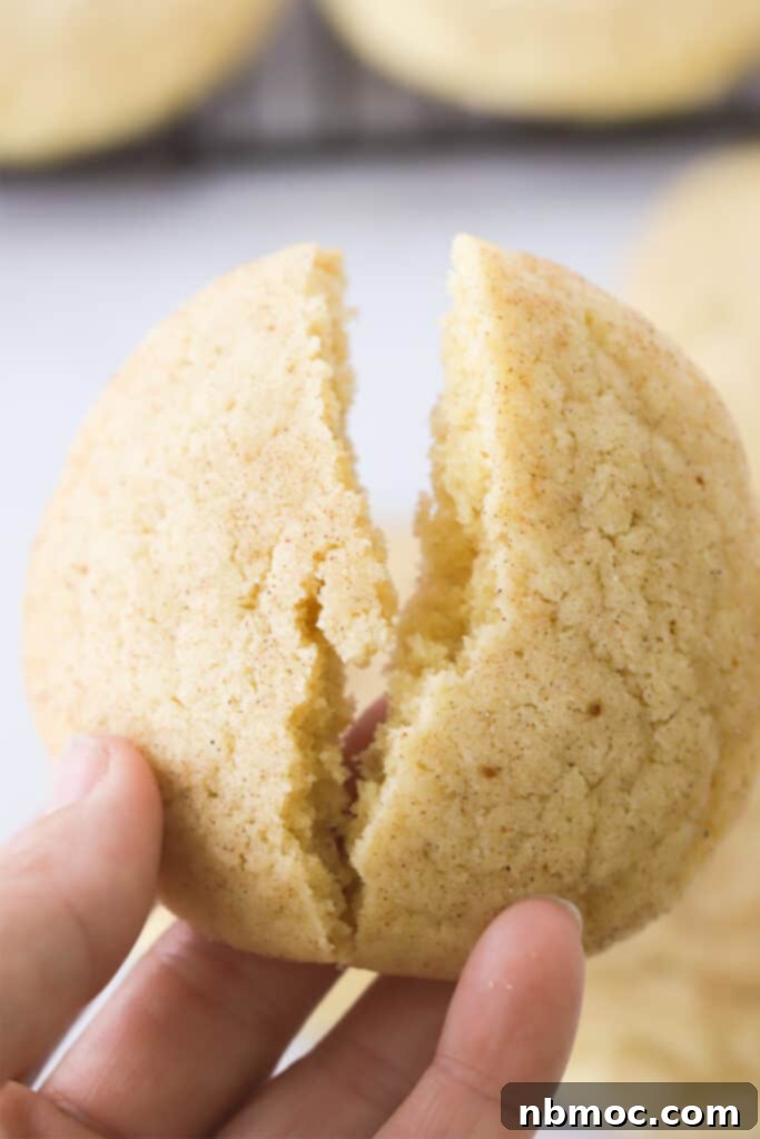 A hand gently holding a single, warm Pumpkin Spice Snickerdoodle cookie, highlighting its sugary, crackled surface.