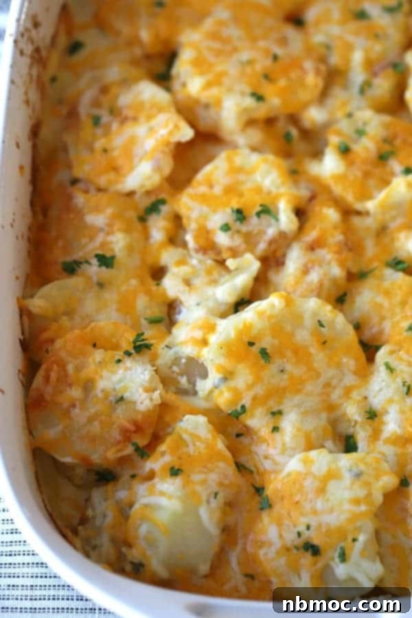 Silken Cream Potato Gratin 2 Rich and creamy scalloped potatoes with sour cream and cheese, garnished with fresh thyme, baked to golden perfection.