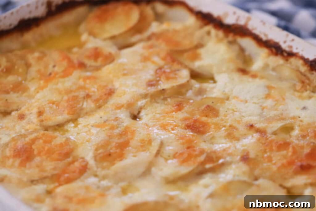Silken Cream Potato Gratin 6 Overhead view of a white baking dish filled with golden and creamy scalloped potatoes, garnished with fresh herbs.